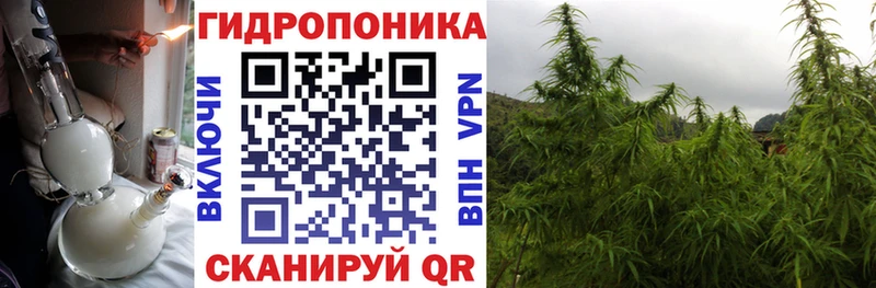 Купить закладку Балтийск Амфетамин  COCAIN  МЕФ  Бошки Шишки 
