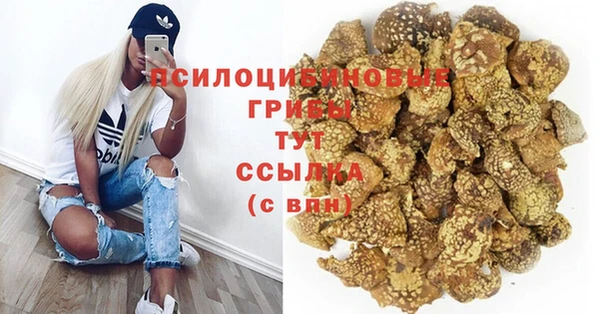 прущий лед Богданович