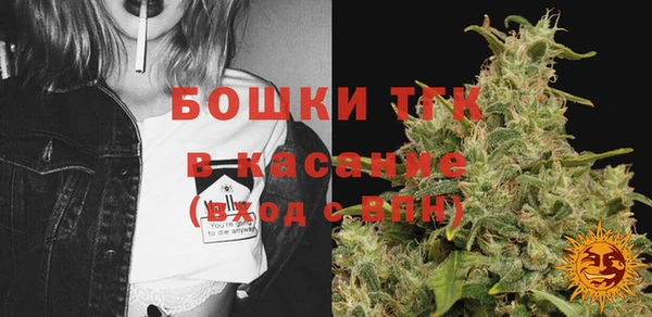 прущий лед Богданович