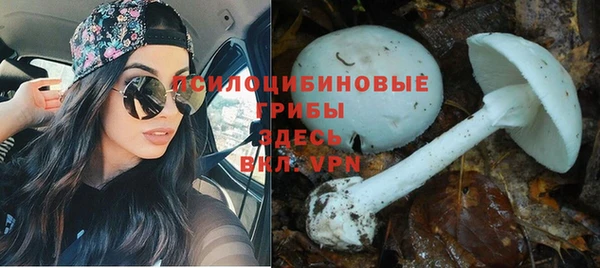 MDMA Premium VHQ Богородск