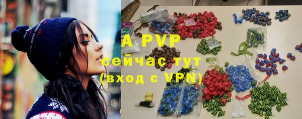 прущий лед Богданович
