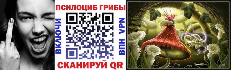 Псилоцибиновые грибы MAGIC MUSHROOMS  продажа наркотиков  Балтийск 